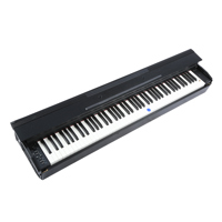 Casio PX-870 Privia 88-Key Dig Picture