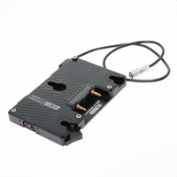 Wooden Camera Pro Gold Mount ( Picture