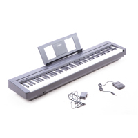 Yamaha P-45 Compact 88-Key Por Picture