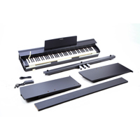 Casio PX-870 Privia 88-Key Dig Picture