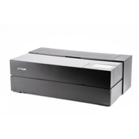 Epson SureColor P900 17" Wide  Picture