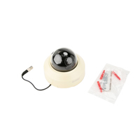 Pelco IS21-DNV10S Day Night Do Picture