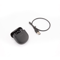Bose QuietComfort Earbuds II,  Picture