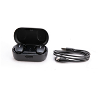Bose QuietComfort Earbuds, Tri Picture
