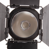 Hive Lighting Wasp 100-C Omni- Picture