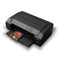 Canon imagePROGRAF PRO-310 13" Picture