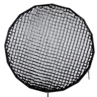 Glow Eggcrate Grid for EZ Lock Picture