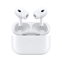 Apple AirPods Pro with MagSafe Picture
