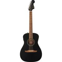 Fender Joe Strummer Campfire E Picture