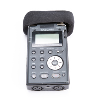 Tascam DR-100 Portable Digital Picture