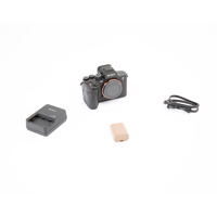 Sony Alpha a7S III Mirrorless  Picture