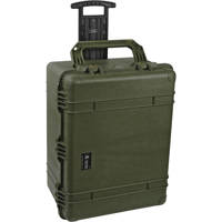 Pelican 1630 Watertight Hard C Picture
