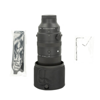 Sigma 150-600mm f/5-6.3 DG DN  Picture