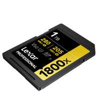 Lexar GOLD Series Professional Picture