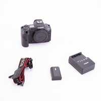 Canon EOS R5 Mirrorless Digita Picture