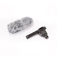 Canon DM-100 Directional Stere Picture