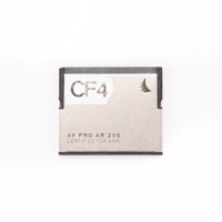 Angelbird 256GB AV Pro AR CFas Picture