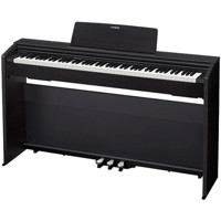 Casio PX-870 Privia 88-Key Dig Picture
