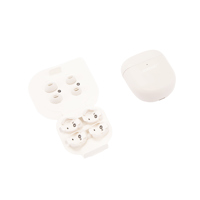 Bose QuietComfort Earbuds II,  Picture