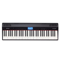 Roland GO-61P GO:PIANO 61-Keys Picture