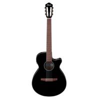 Ibanez AEG50N 6-String Semi-Ac Picture