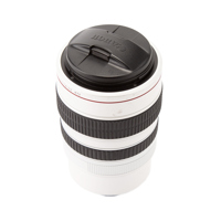 Canon 20x Image Stabilized XL  Picture