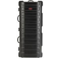 SKB X-Large ATA Stand Case wit Picture