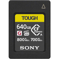 Sony CEA-G Series TOUGH 640GB  Picture