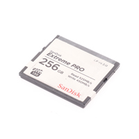 SanDisk Extreme PRO 256GB CFas Picture