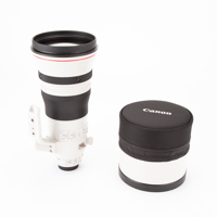 Canon EF 400mm f/2.8L IS III U Picture