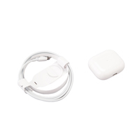 Apple AirPods with Lightning C Picture