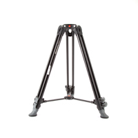 Manfrotto Telescopic Twin Leg  Picture