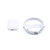 Apple Airpods with Charging Ca Picture