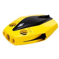 CHASING Dory Underwater Drone Picture