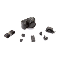 Blackmagic Design Pocket Cinem Picture