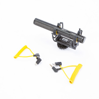 Deity Microphones V-Mic D4 Sup Picture