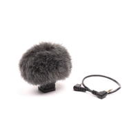 Sony ECM-G1 Vlogger Shotgun Mi Picture