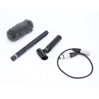 Sony ECM-VG1 Electret Condense Picture