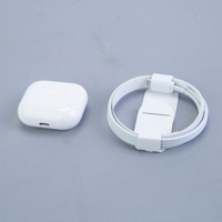 Apple AirPods with Lightning C Picture