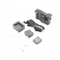 Panasonic Lumix DMC-GX85 Mirro Picture