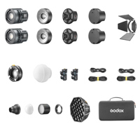 Godox RS60Bi Bi-Color LED Mono Picture