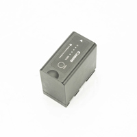 Canon BP-975 Battery Pack Picture