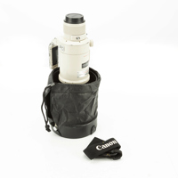 Canon EF 500mm f/4L IS USM Ima Picture