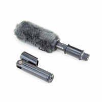 Sony ECM-VG1 Electret Condense Picture