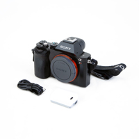 Sony Alpha A7R Mirrorless Digi Picture