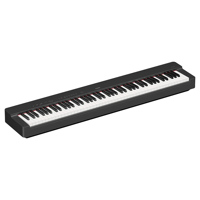 Yamaha P-225 88-Note Digital P Picture