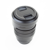 Panasonic Lumix Leica DG Vario Picture