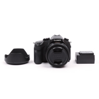 Panasonic Lumix DMC-FZ1000 Dig Picture