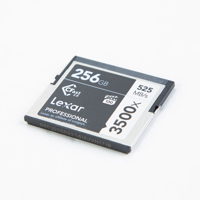 Lexar 256GB Professional 3500x Picture
