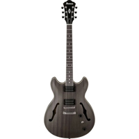 Ibanez Artcore Series AS53 Hol Picture